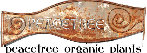 peacetree organic plants